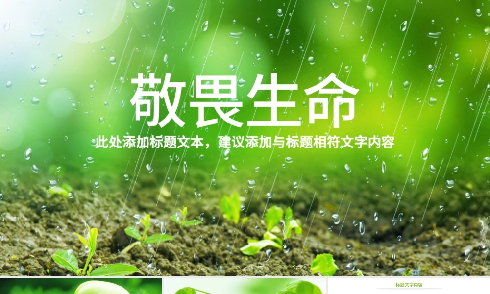 原创唯美绿色植物发芽植物生长敬畏生命PPT模板-版权可商用.pptx