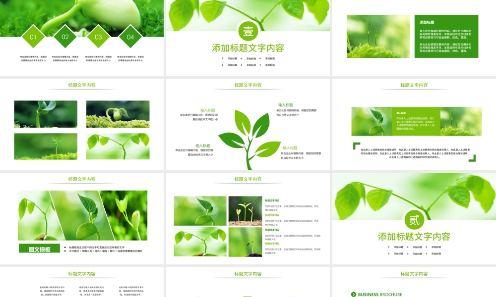 原创唯美绿色植物发芽植物生长敬畏生命PPT模板-版权可商用.pptx