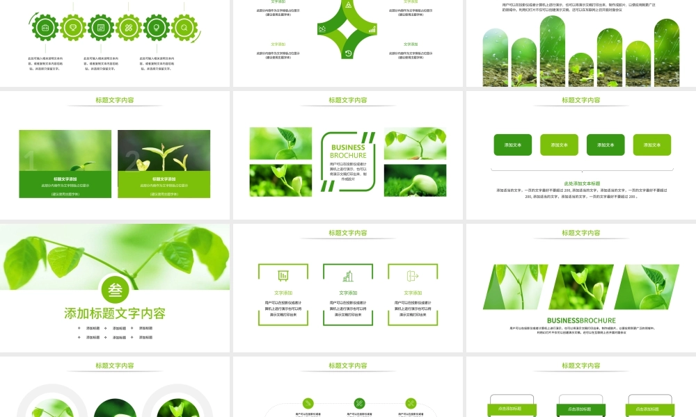 原创唯美绿色植物发芽植物生长敬畏生命PPT模板-版权可商用.pptx