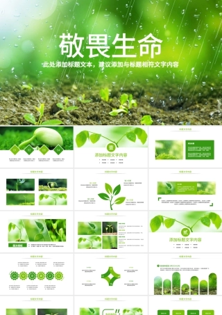 原创唯美绿色植物发芽植物生长敬畏生命PPT模板-版权可商用.pptx
