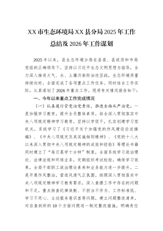 XX市生态环境局XX县分局2025年工作总结及2026年工作谋划.docx