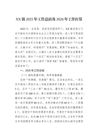 XX镇2025年工作总结及2026年工作打算.docx
