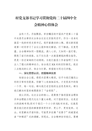 村党支部书记学习贯彻党的二十届四中全会精神心得体会.docx