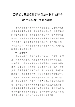 关于某乡基层党组织建设基本制度执行情况“回头看”的督查报告.docx