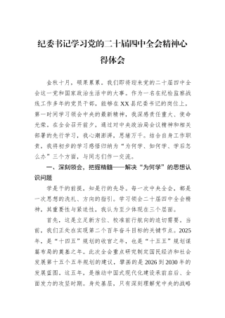 纪委书记学习党的二十届四中全会精神心得体会.docx