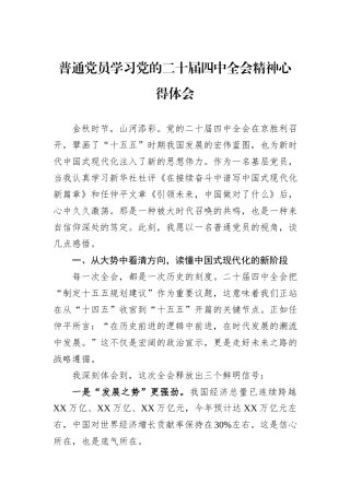 普通党员学习党的二十届四中全会精神心得体会.docx