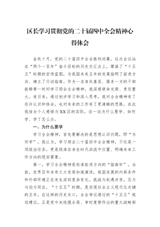 区长学习贯彻党的二十届四中全会精神心得体会.docx