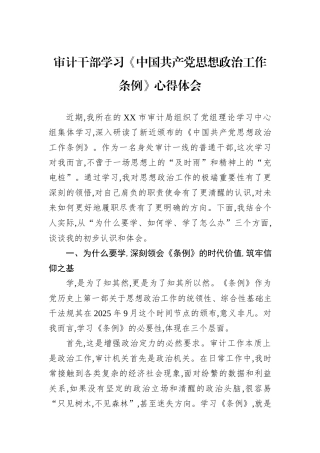 审计干部学习《中国共产党思想政治工作条例》心得体会.docx