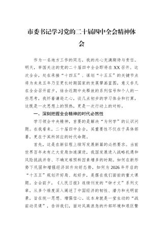 市委书记学习党的二十届四中全会精神体会.docx