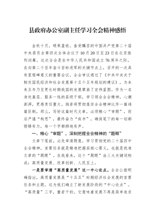 县政府办公室副主任学习全会精神感悟.docx