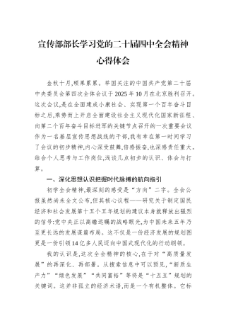 宣传部部长学习党的二十届四中全会精神心得体会.docx