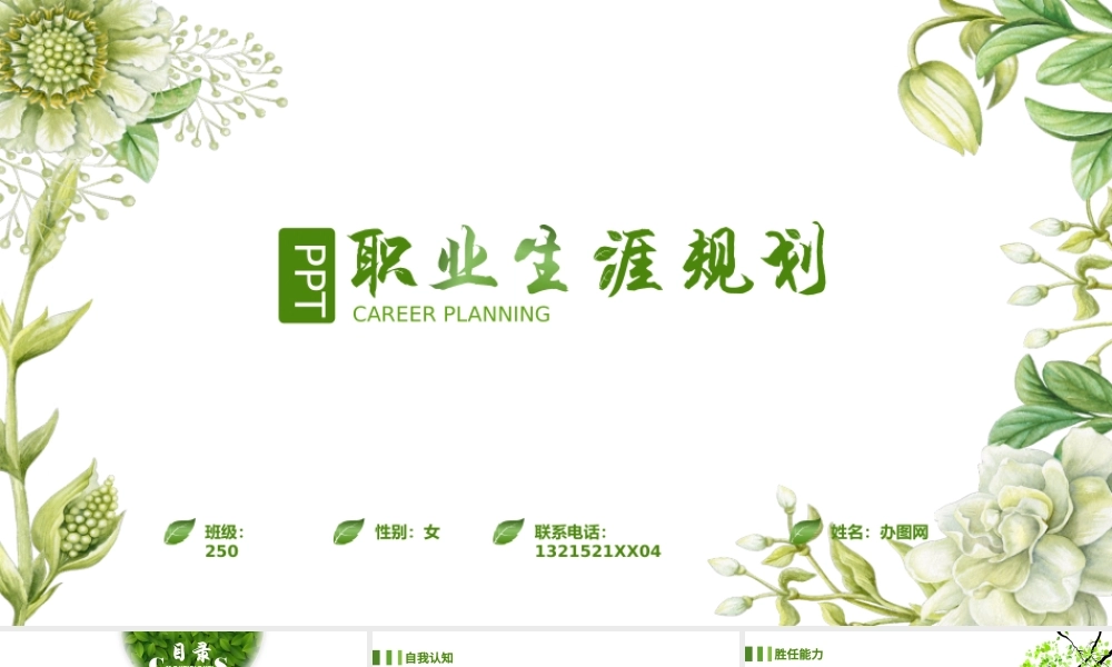 职业生涯规划PPT模板.pptx