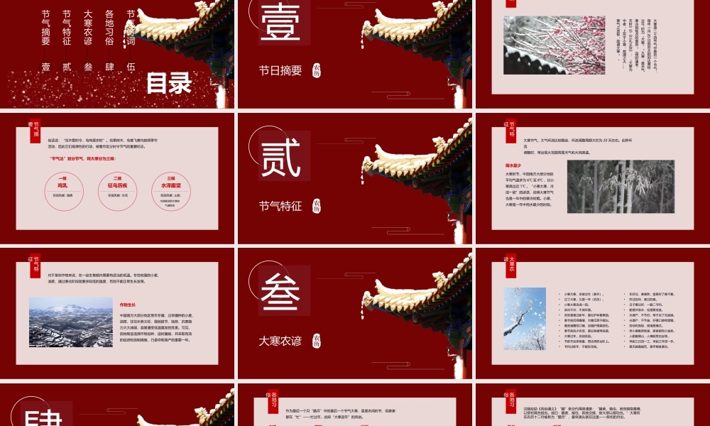 中国红宫墙古风二十四节气之大寒ppt.pptx