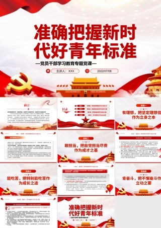 准确把握新时代好青年标准PPT党政风党员干部学习教育专题党课.pptx