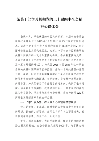 某县干部学习贯彻党的二十届四中全会精神心得体会.docx