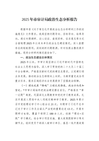 2025年市审计局政治生态分析报告.docx
