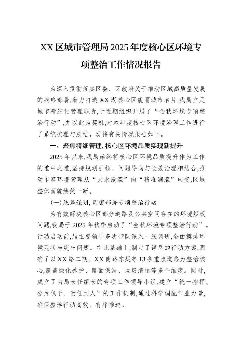 XX区城市管理局2025年度核心区环境专项整治工作情况报告.docx_第1页