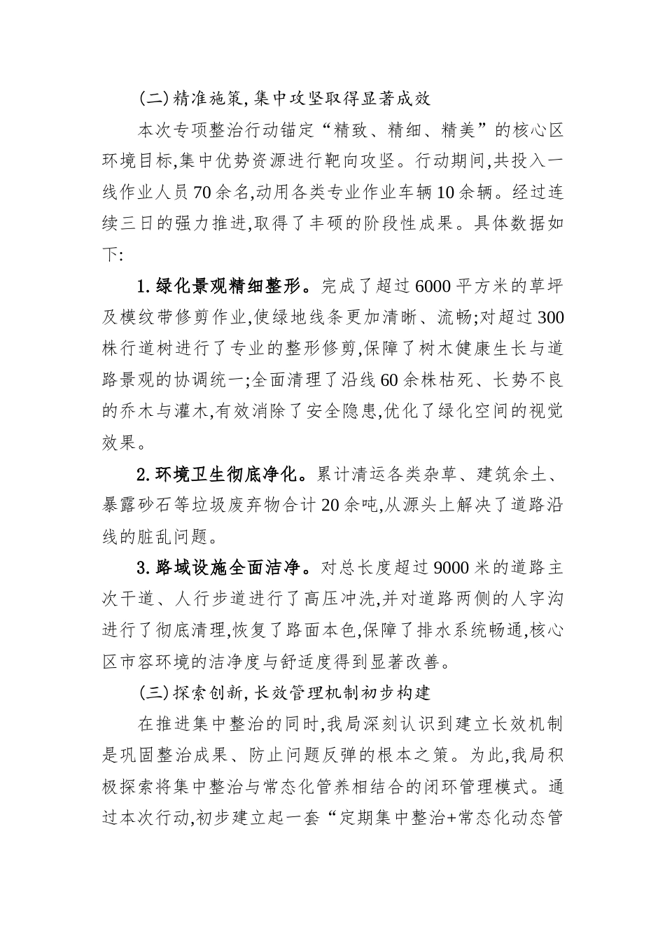 XX区城市管理局2025年度核心区环境专项整治工作情况报告.docx_第2页