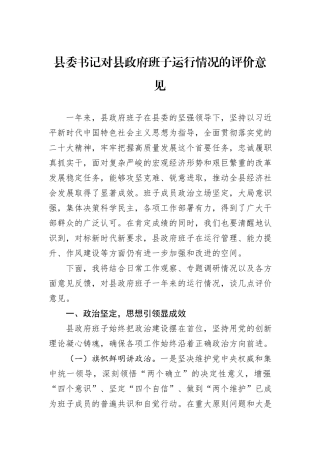 县委书记对县政府班子运行情况的评价意见.docx