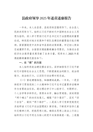 县政府领导2025年述责述廉报告.docx