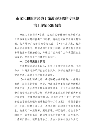 市文化和旅游局关于旅游市场秩序专项整治工作情况的报告.docx
