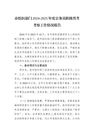 市组织部门2024-2025年度公务员职级晋升考察工作情况报告.docx