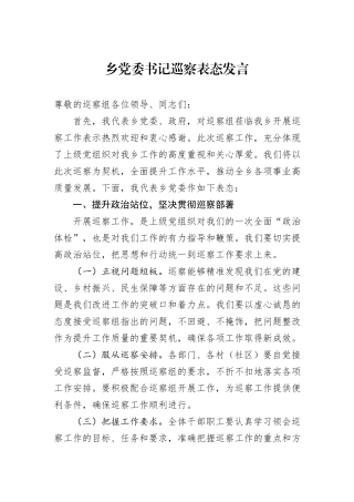 乡党委书记巡察表态发言.docx