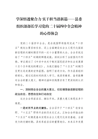 学深悟透聚合力+实干担当谱新篇——县委组织部部长学习党的二十届四中全会精神的心得体会.docx