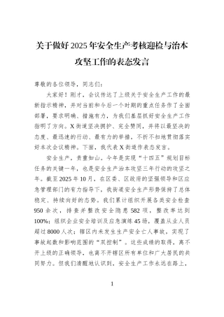 关于做好2025年安全生产考核迎检与治本攻坚工作的表态发言.docx