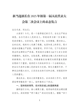 新当选镇长在2025年镇第一届人民代表大会第二次会议上的表态发言.docx