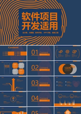 软件项目适用蓝橙.pptx
