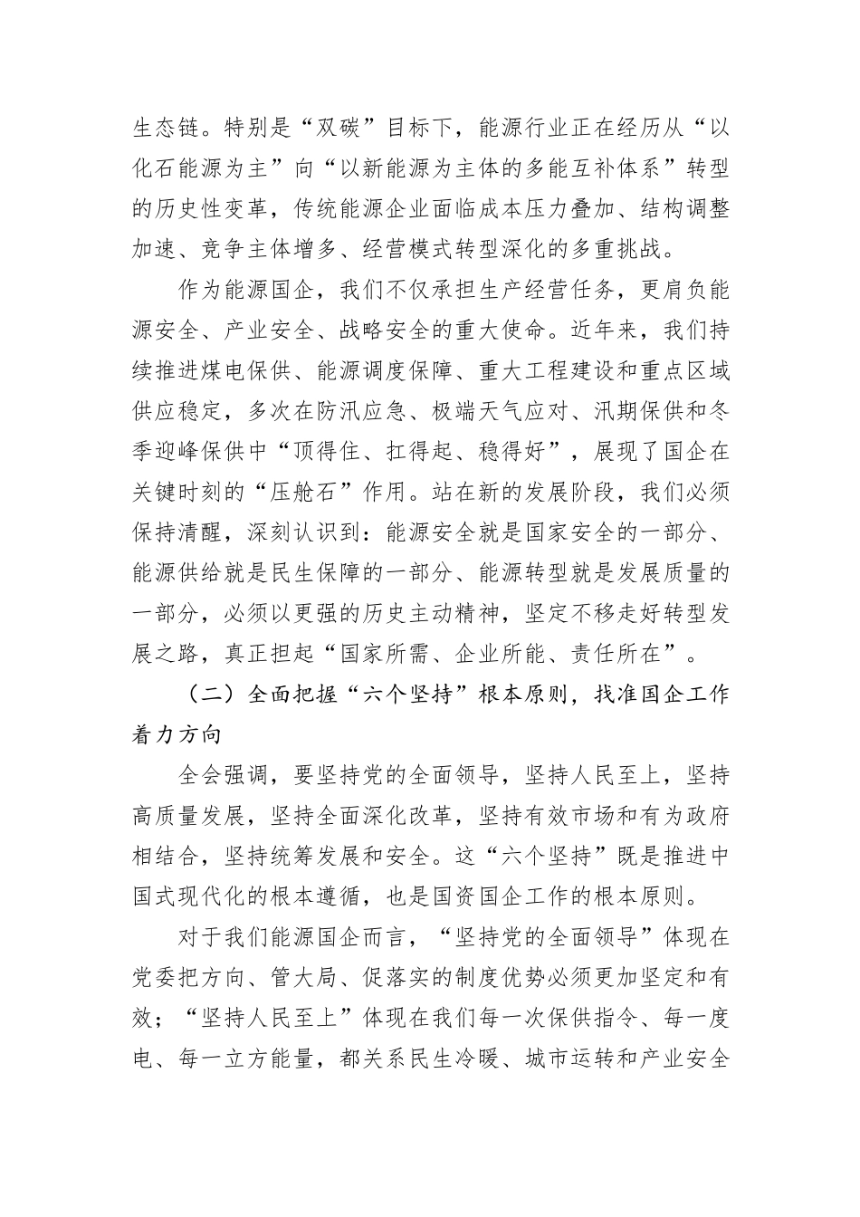 能国企党委书记学习四中全会精神研讨发言.docx_第2页