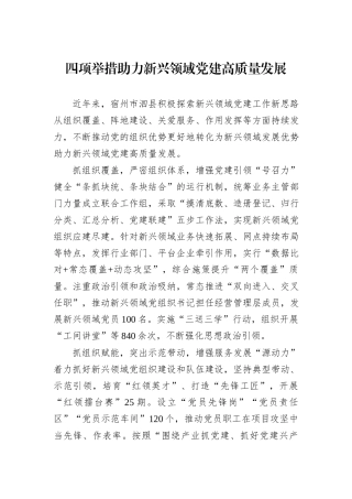 四项举措助力新兴领域党建高质量发展.docx