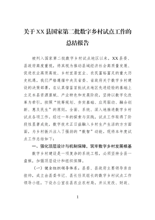 关于XX县国家第二批数字乡村试点工作的总结报告.docx