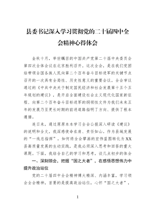 县委书记深入学习贯彻党的二十届四中全会精神心得体会.docx