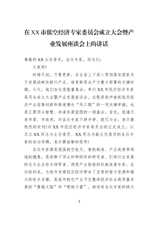 在XX市低空经济专家委员会成立大会暨产业发展座谈会上的讲话.docx