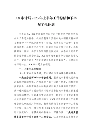 XX审计局2025年上半年工作总结和下半年工作计划.docx