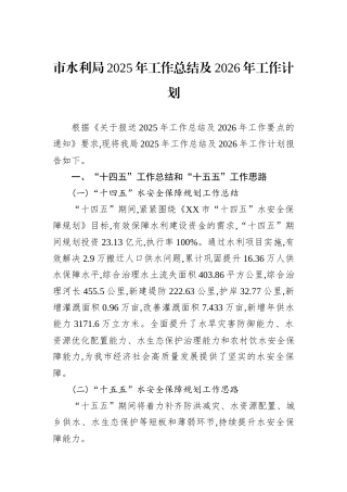 市水利局2025年工作总结及2026年工作计划.docx
