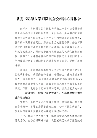 县委书记深入学习贯彻全会精神心得体会.docx