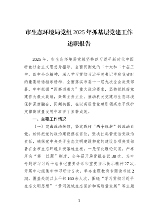 市生态环境局党组2025年抓基层党建工作述职报告.docx