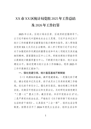 XX市XX区统计局党组2025年工作总结及2026年工作打算.docx