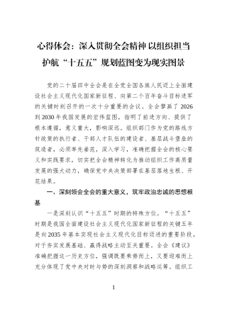 心得体会：深入贯彻全会精神 以组织担当护航“十五五”规划蓝图变为现实图景.docx