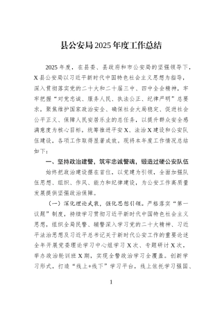 县公安局2025年度工作总结.docx