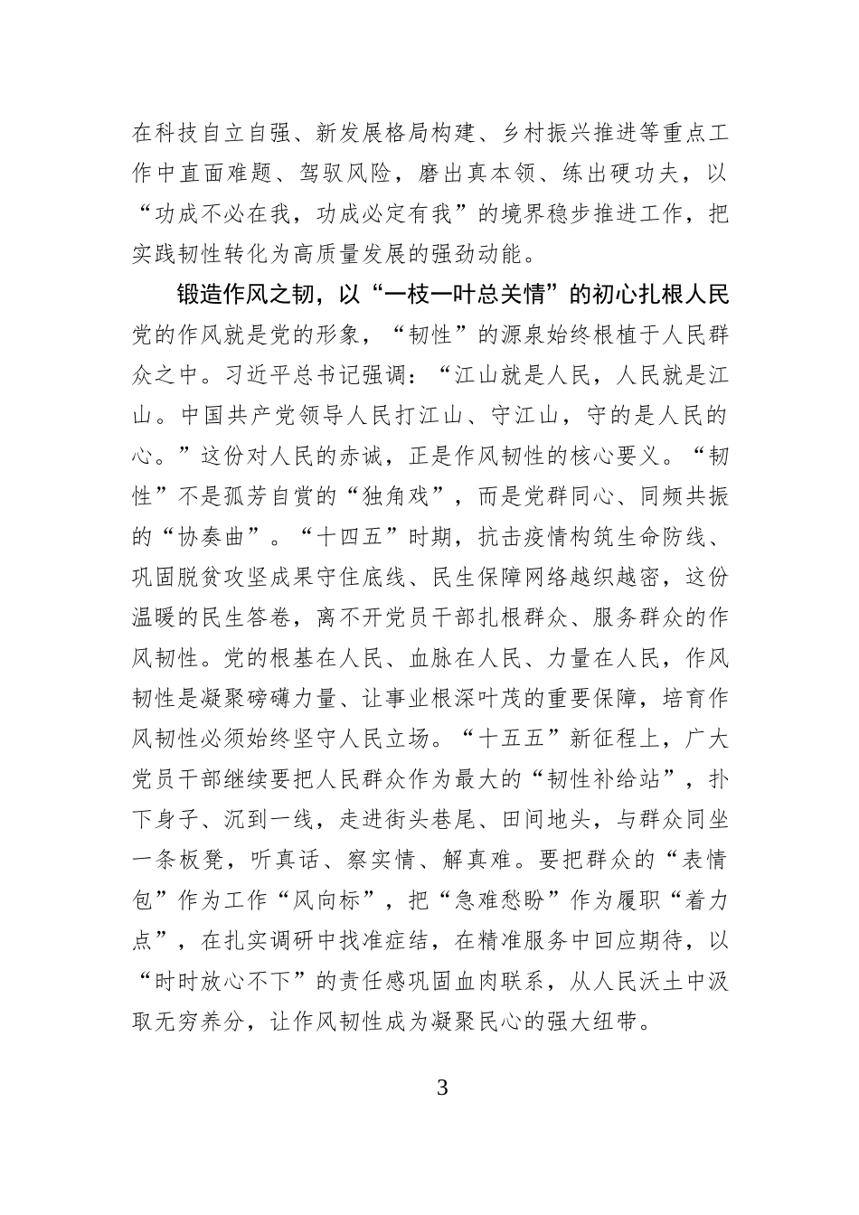 以“三股韧劲”护航“十五五”新程行稳致远.docx_第3页