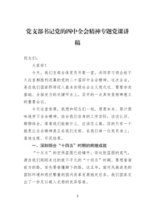 党支部书记党的四中全会精神专题党课讲稿.docx