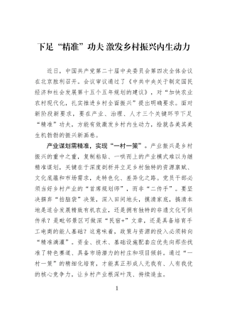 下足“精准”功夫 激发乡村振兴内生动力.docx