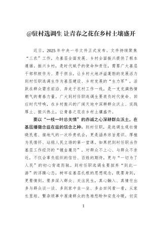 @驻村选调生 让青春之花在乡村土壤盛开.docx