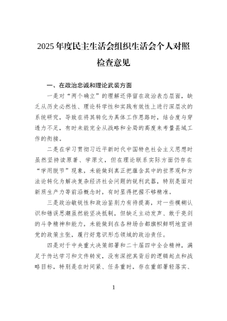 2025年度民主生活会组织生活会个人对照检查意见.docx