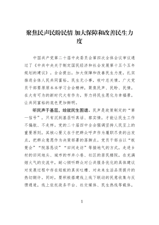 聚焦民声民盼民情 加大保障和改善民生力度.docx