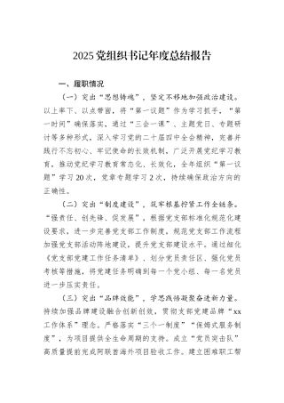 2025党组织书记年度总结报告.docx